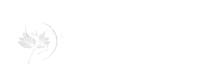 Lonese Jacobs Physiotherapy lighter logo